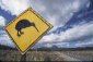kiwi sign on road